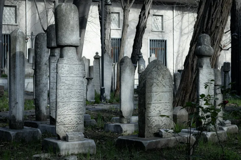 Lines in the Sand: How America's Accidental Boundaries Became Sacred Geography