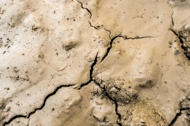Liquid Grievances: The American Water Wars That Forged Regional Identity From Resentment