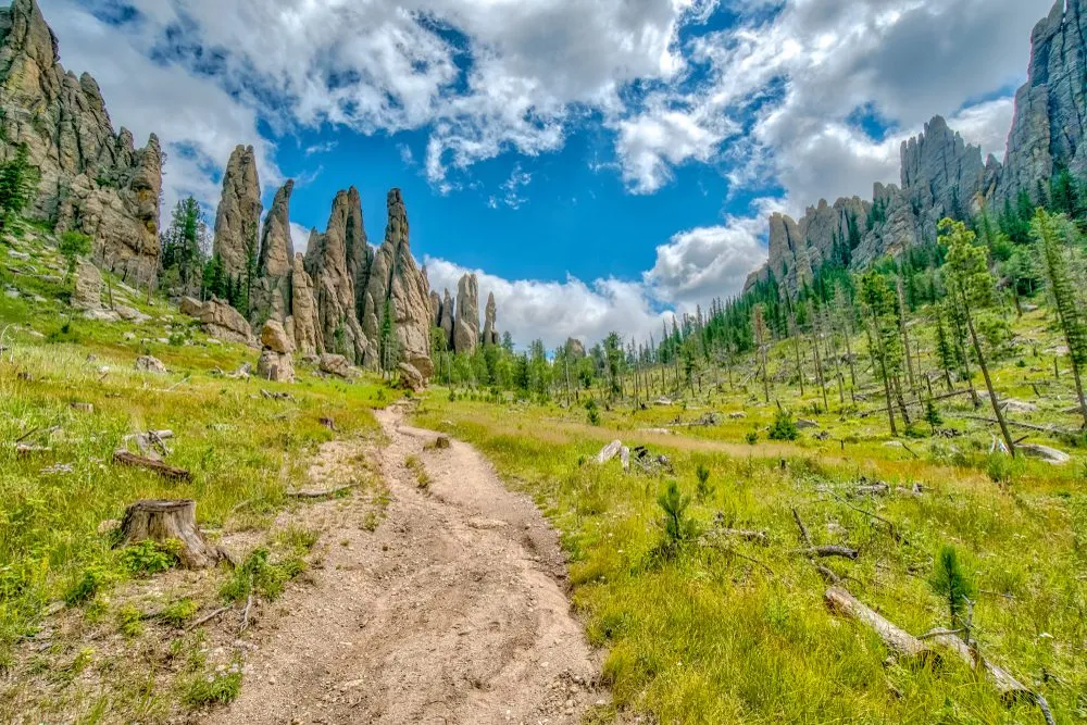 Black Hills